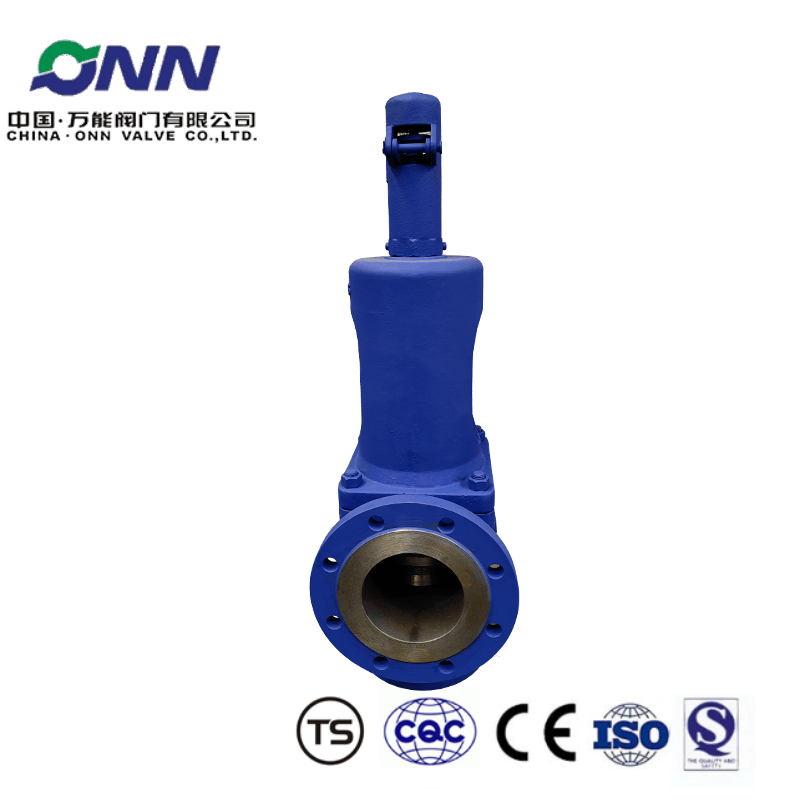 A48E-16C DN80x125 German standard safety valve