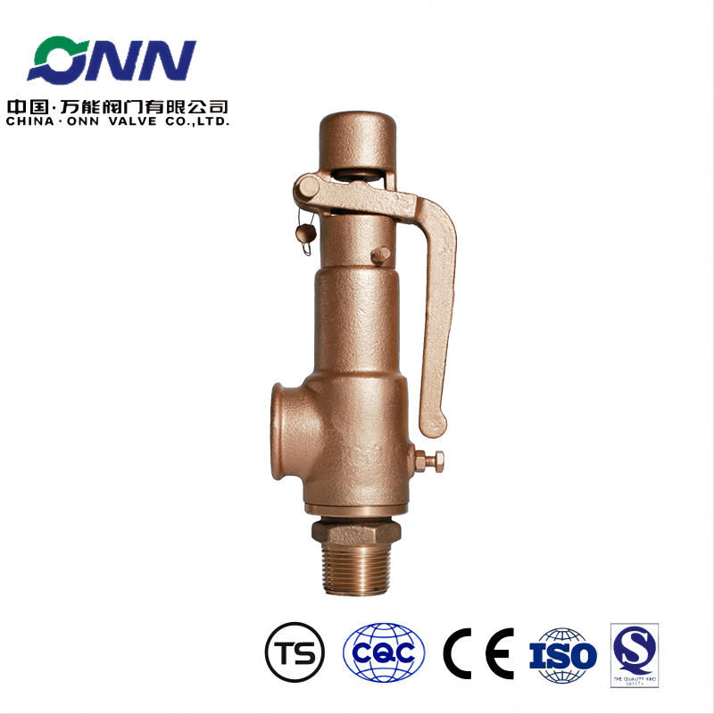 A28W-16T DN25 brass safety valve