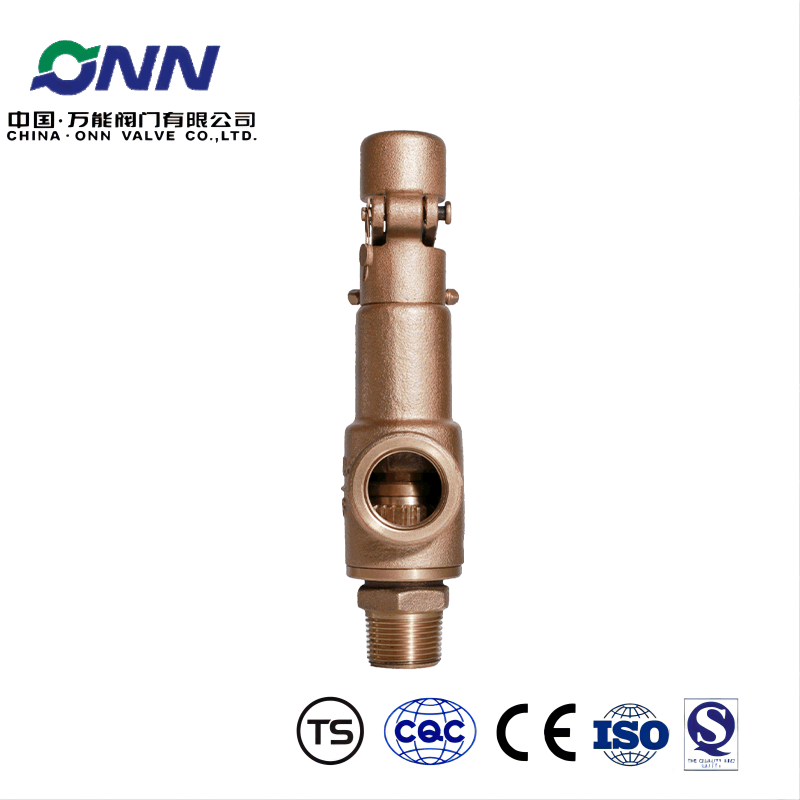 A28W-16T DN25 brass safety valve