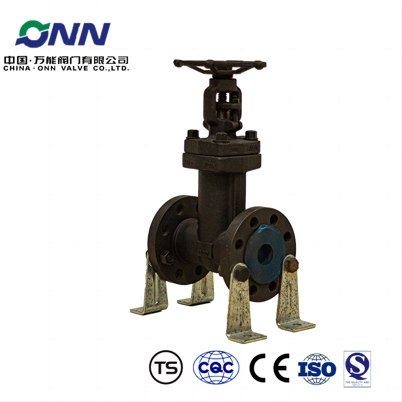 WJ41H forged steel bellows disconnecting valve