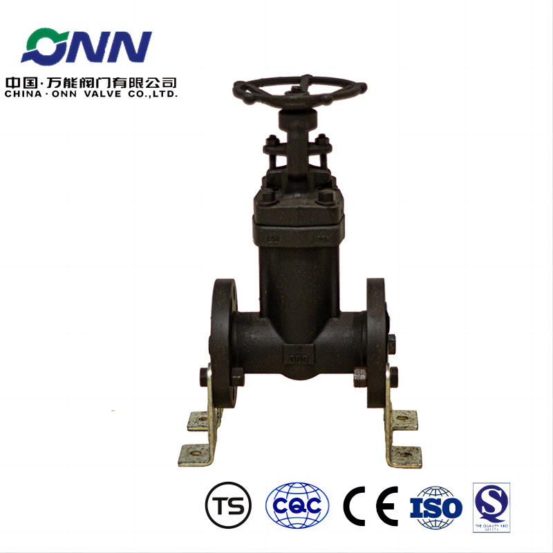 WJ41H forged steel bellows disconnecting valve