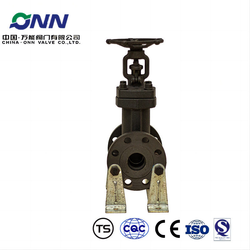 WJ41H forged steel bellows disconnecting valve